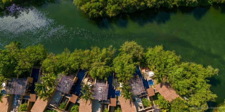 Hôtel Banyan Tree Mayakoba