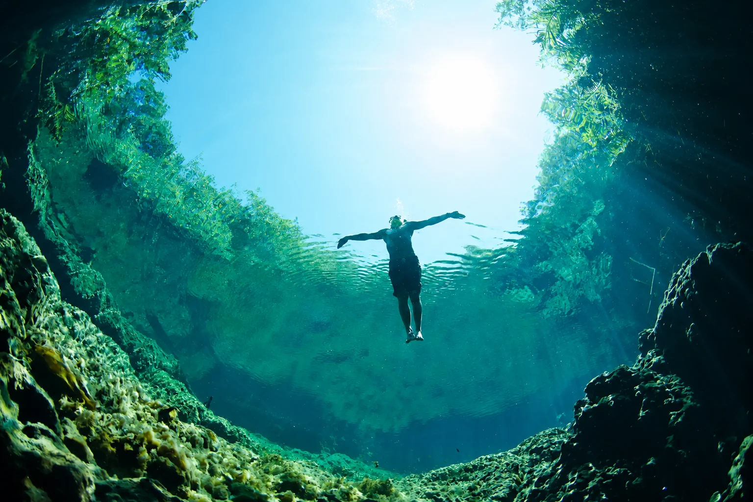 Nager dans l'eau cristalline d'un cénote de la Riviera Maya