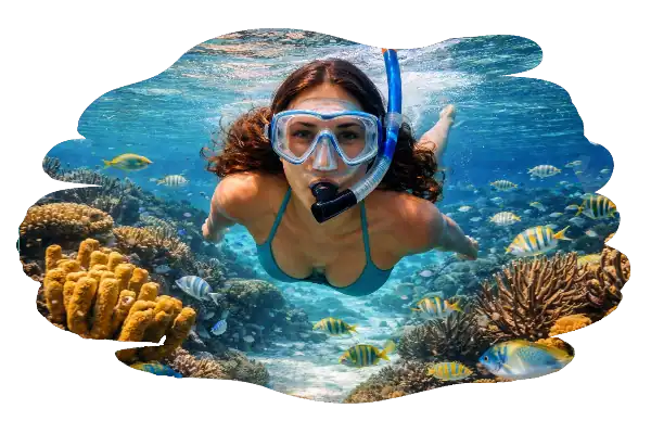 Snorkeling sur récif