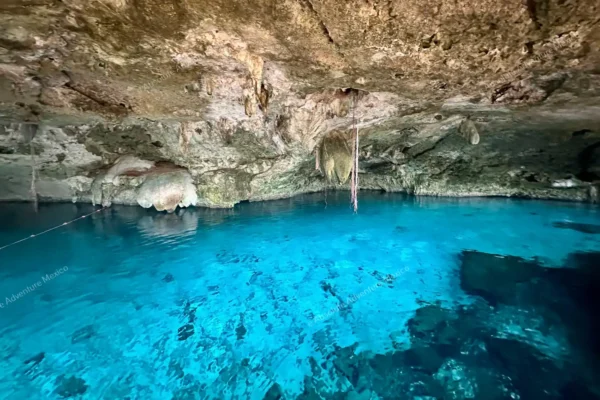excursion privée Cenote Dos Ojos en Riviera Maya