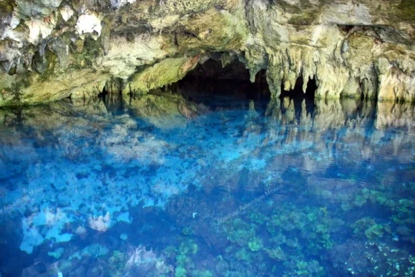 excursion privée Cenote Dos Ojos en Riviera Maya