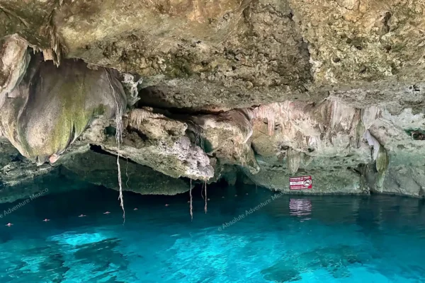 excursion privée Cenote Dos Ojos en Riviera Maya