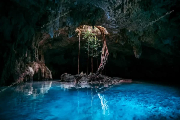excursion privée Cenote Pet Cemetery en Riviera Maya