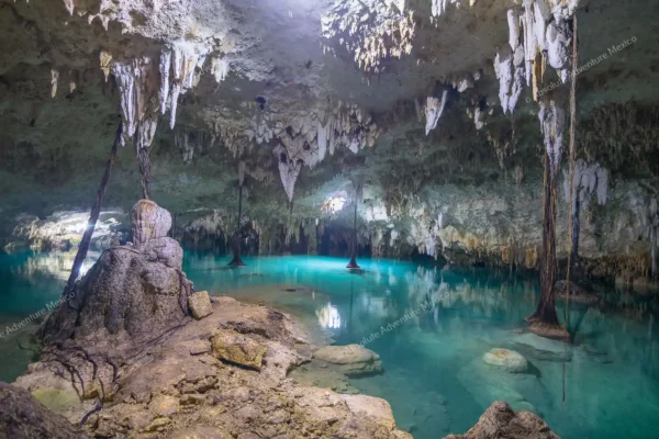 excursion privée Cenote Pet Cemetery en Riviera Maya