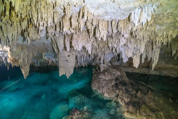 excursion privée Cenote Pet Cemetery en Riviera Maya