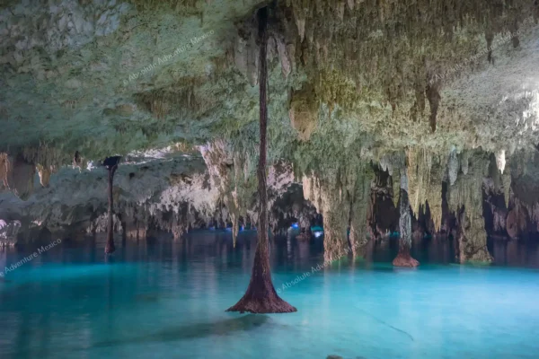 excursion privée Cenote Pet Cemetery en Riviera Maya