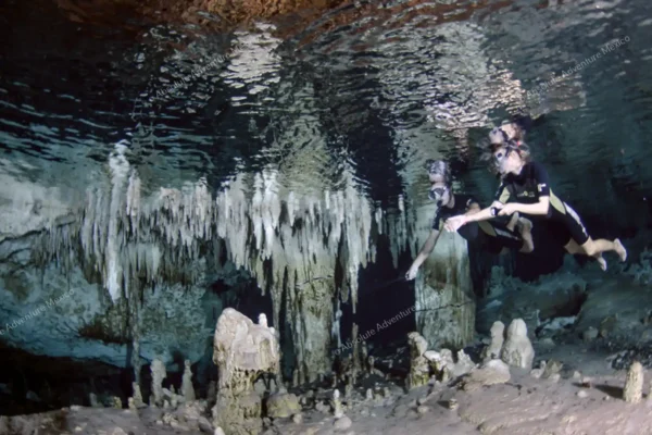 excursion privée Cenote Pet Cemetery en Riviera Maya