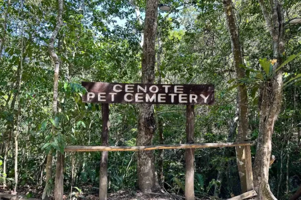 excursion privée Cenote Pet Cemetery en Riviera Maya