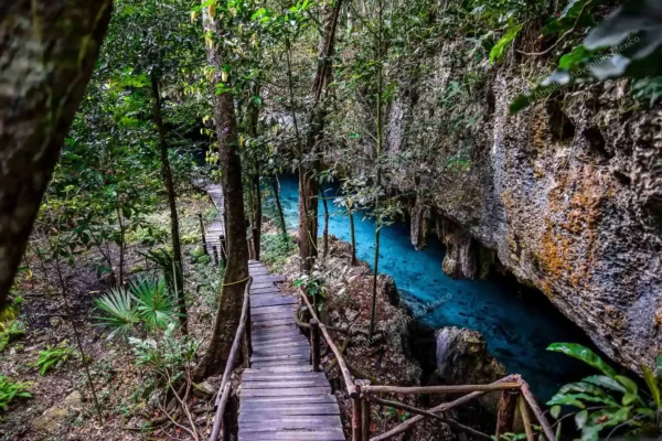 excursion privée Cenote Pet Cemetery en Riviera Maya