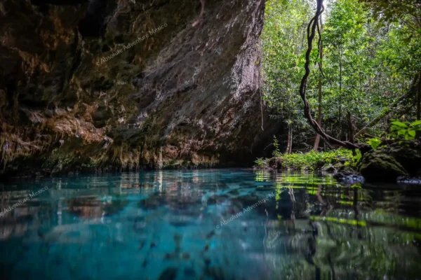 excursion privée Cenote Pet Cemetery en Riviera Maya