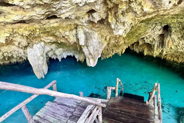 excursion privée Cenote Pet Cemetery en Riviera Maya