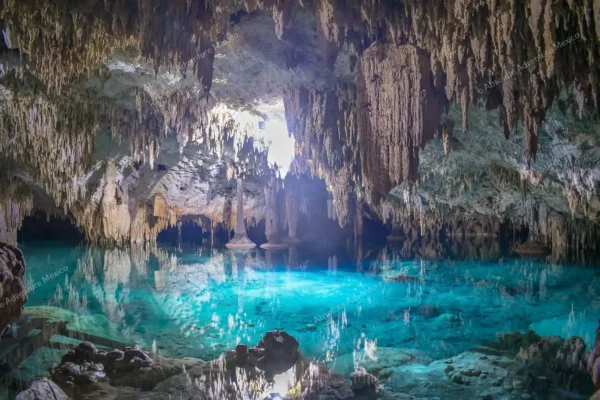 excursion privée Cenote Pet Cemetery en Riviera Maya