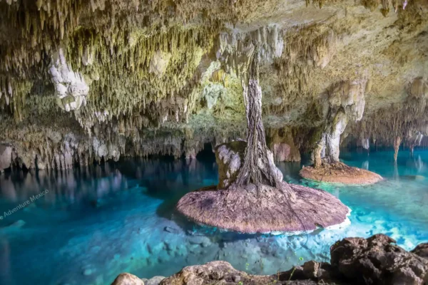 excursion privée Cenote Pet Cemetery en Riviera Maya