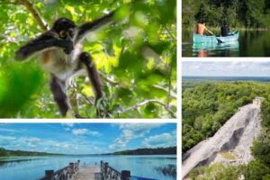 excursion privée Coba et Punta Laguna en Riviera Maya