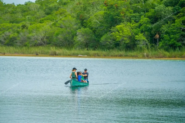 excursion privée Coba et Punta Laguna en Riviera Maya