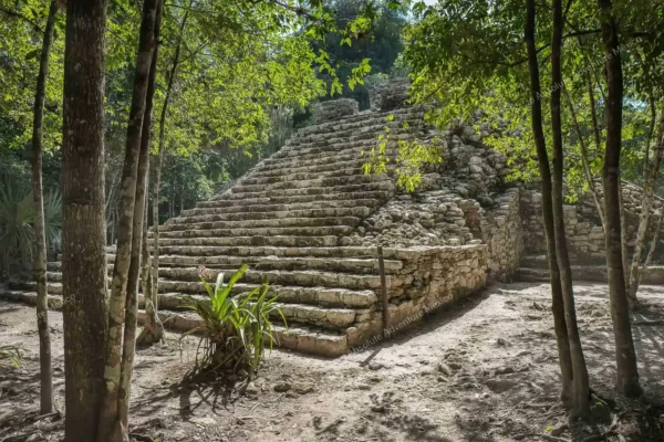 excursion privée Coba Express en Riviera Maya