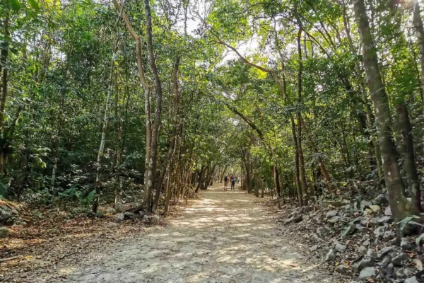 excursion privée Coba Express en Riviera Maya