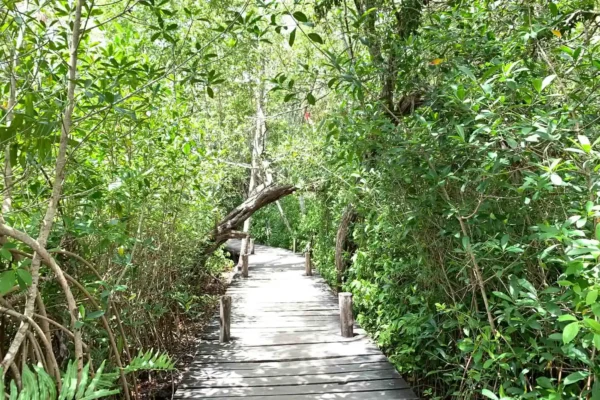 excursion privée Kaan Luum et cénote en Riviera Maya