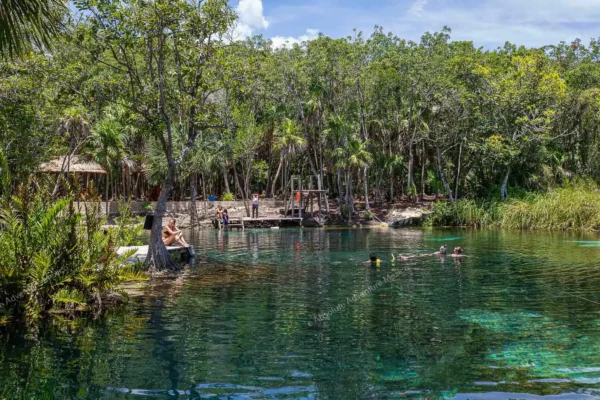 excursion privée Muyil Kaan Luum et cénote en Riviera Maya