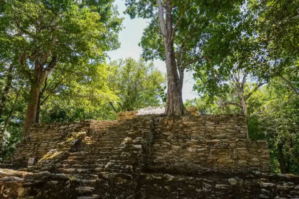 excursion privée Muyil Kaan Luum et cénote en Riviera Maya