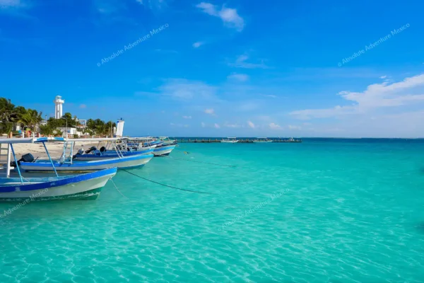 excursion privée récif Puerto Morelos en Riviera Maya