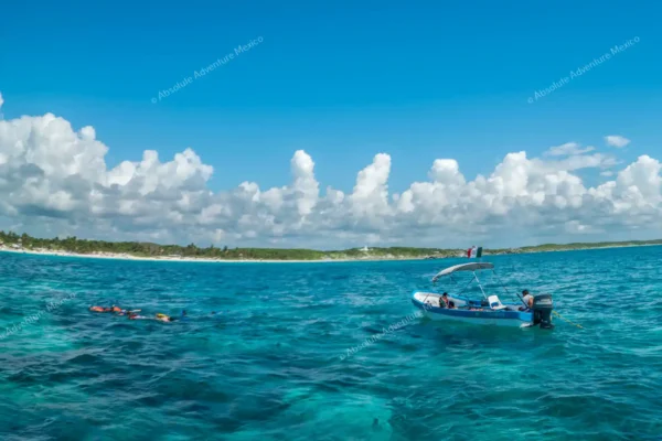 excursion privée récif Tulum et cénote en Riviera Maya