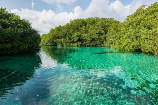 excursion privée trois cénotes en Riviera Maya