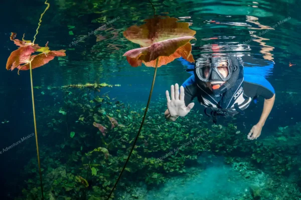 excursion privée trois cénotes en Riviera Maya