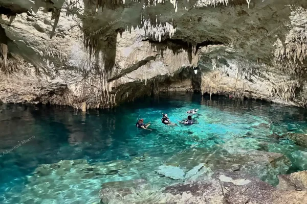 excursion privée Yal Ku et cénote en Riviera Maya