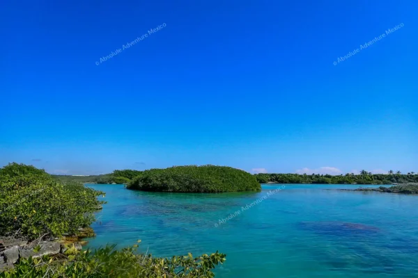 excursion privée Yal Ku et cénote en Riviera Maya