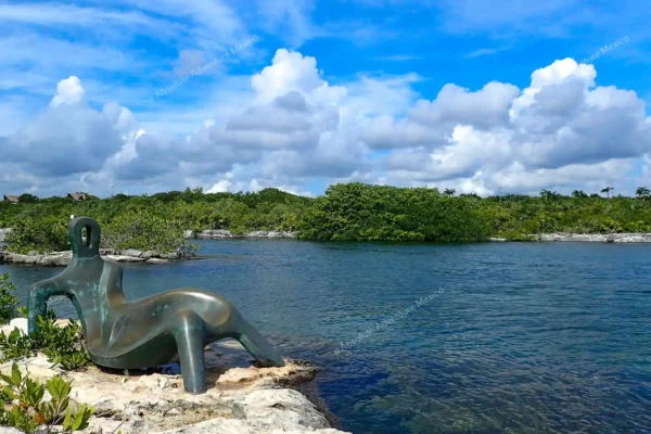 excursion privée Yal Ku et cénote en Riviera Maya