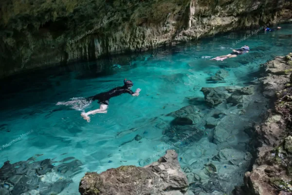 excursion privée Yal Ku et cénote en Riviera Maya