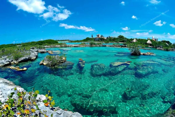excursion privée Yal Ku et cénote en Riviera Maya