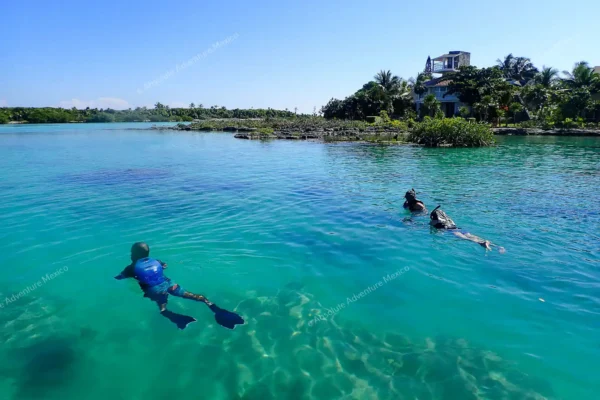 excursion privée Yal Ku et cénote en Riviera Maya