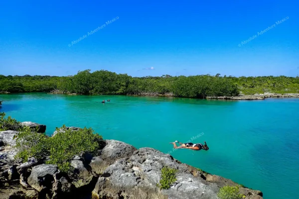 excursion privée Yal Ku et cénote en Riviera Maya