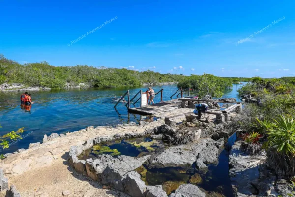 excursion privée Yal Ku et cénote en Riviera Maya