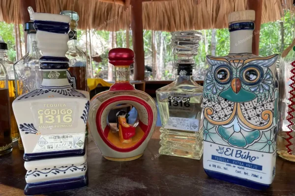 tour privé tequila jungle maya en Riviera Maya