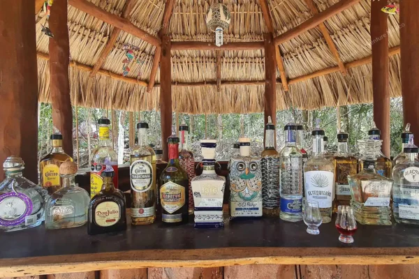 tour privé tequila jungle maya en Riviera Maya