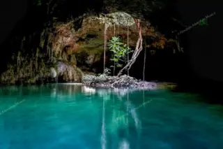 excursion privée trois cénotes en Riviera Maya